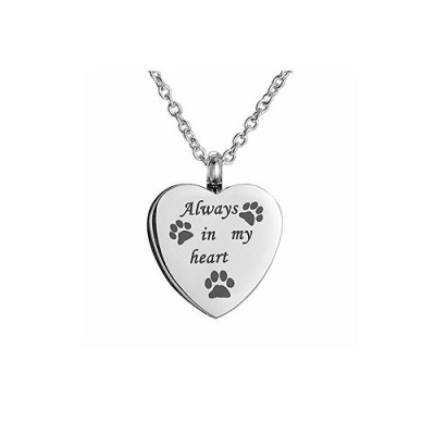 Pet Ashes Urn Jewellery