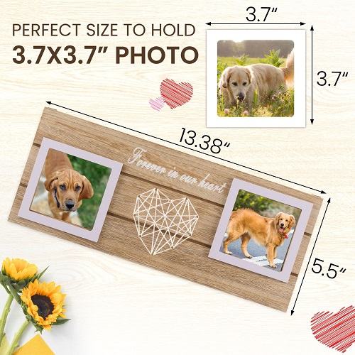 Pet Photo Frame