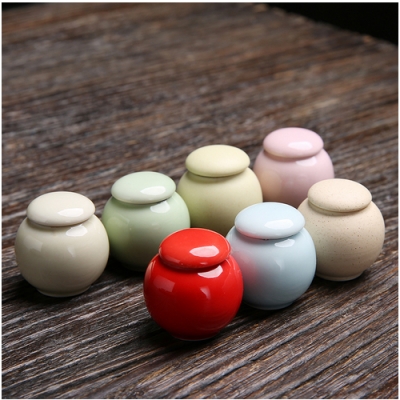 Mini Ceramic Pet Urn